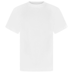 Crew Neck T-Shirt (White)