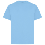 Junior Crew Neck T-Shirt (Colours)