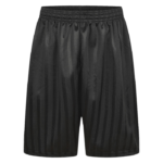 Shadow Stripe Shorts