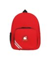 lakeside backpack