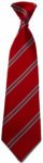 Anker Valley Primary Academy Tie