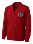 St Andrews CofE Primary School - Cardigan